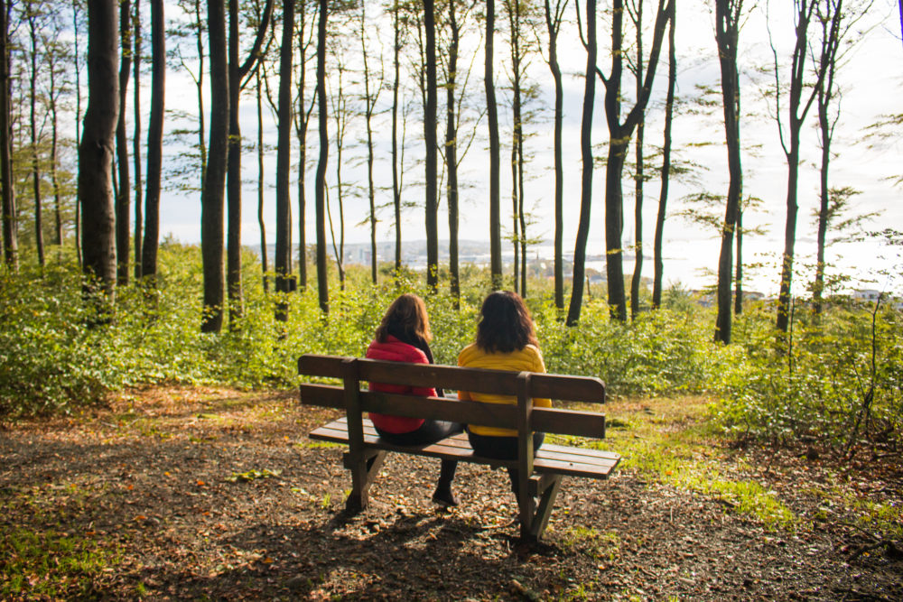 Bøkeskogen i Larvik - Photo: Visitvestfold.com