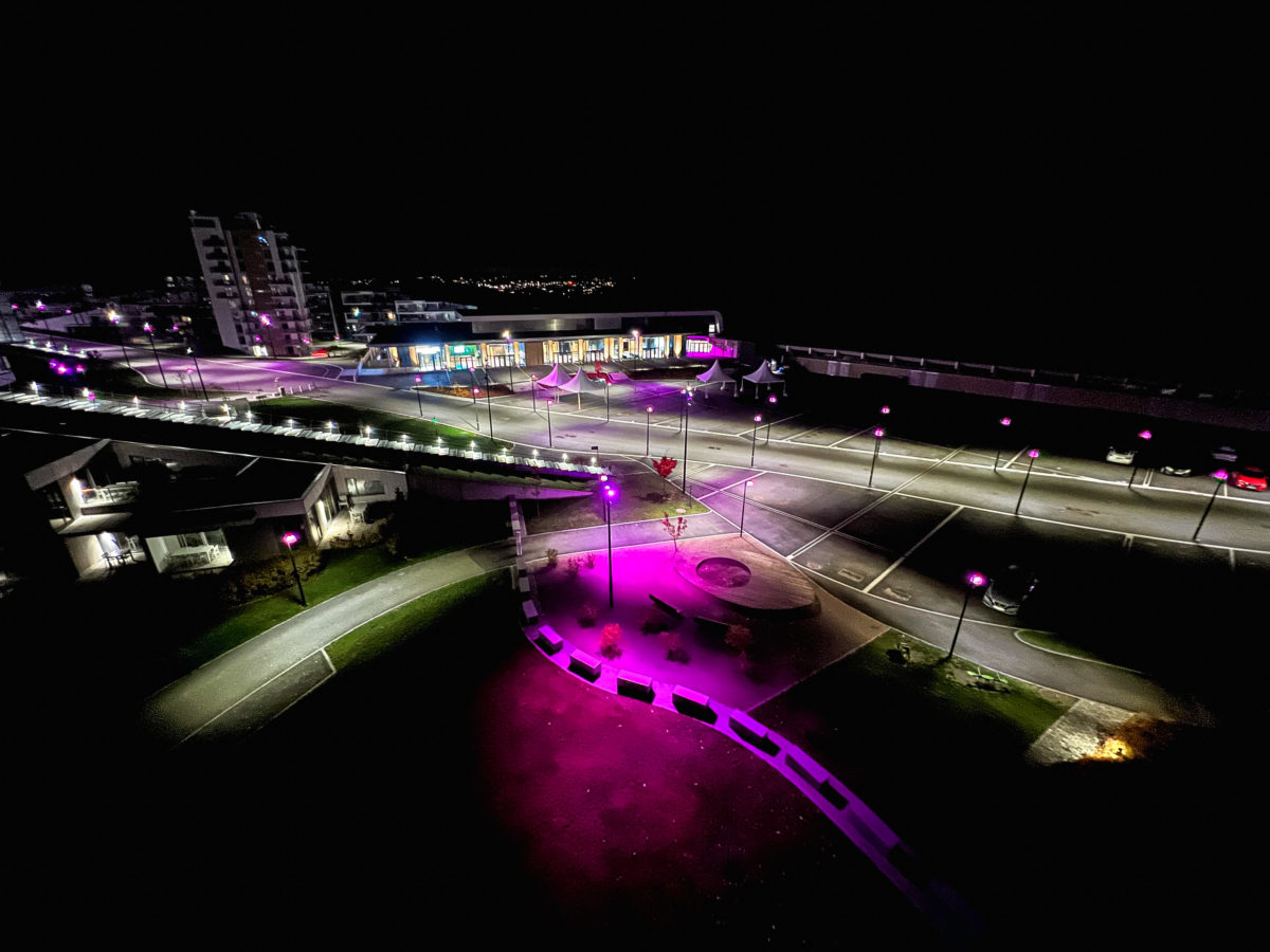 Rosa Sløyfe Oslofjord